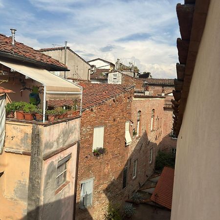La Casa Del Galletto - At The Top Of The City Lucca Esterno foto